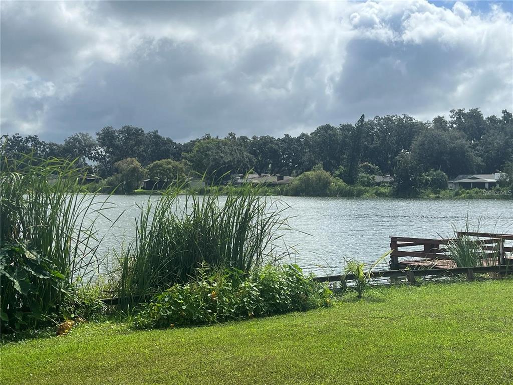 506 Gay Road Seffner, FL 33584 - Photo 12 of 59
