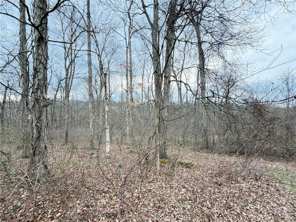 189 Seal Road Eighty Four, PA 15330 - Photo 35 of 42