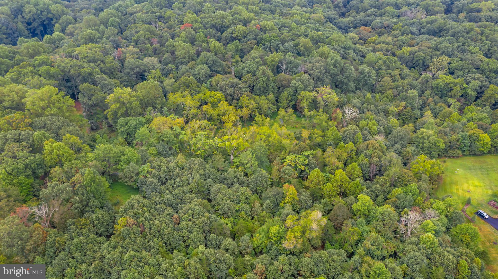 13507 Compton Road Clifton, VA 20124 - Photo 10 of 13 Gallery Image 10