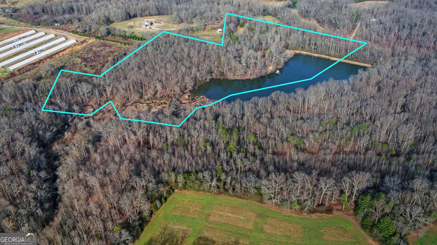 1291 Brays Lake Road Royston, GA 30662 - Photo 3 of 56