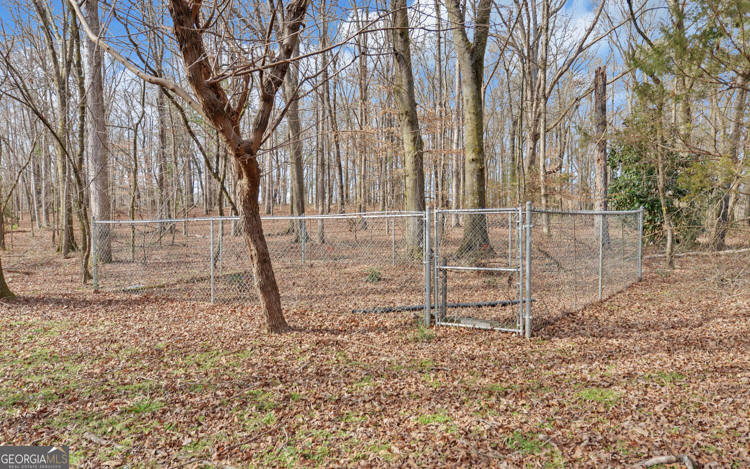 1291 Brays Lake Road Royston, GA 30662 - Photo 44 of 56