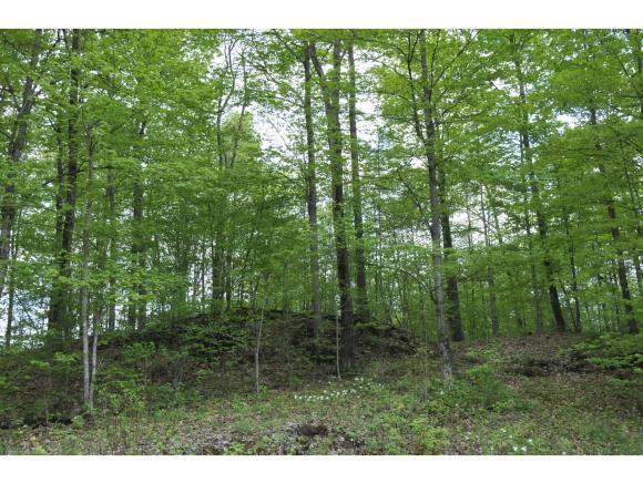 4063 Rollo Road Highgate, VT 05488 - Photo 22 of 28