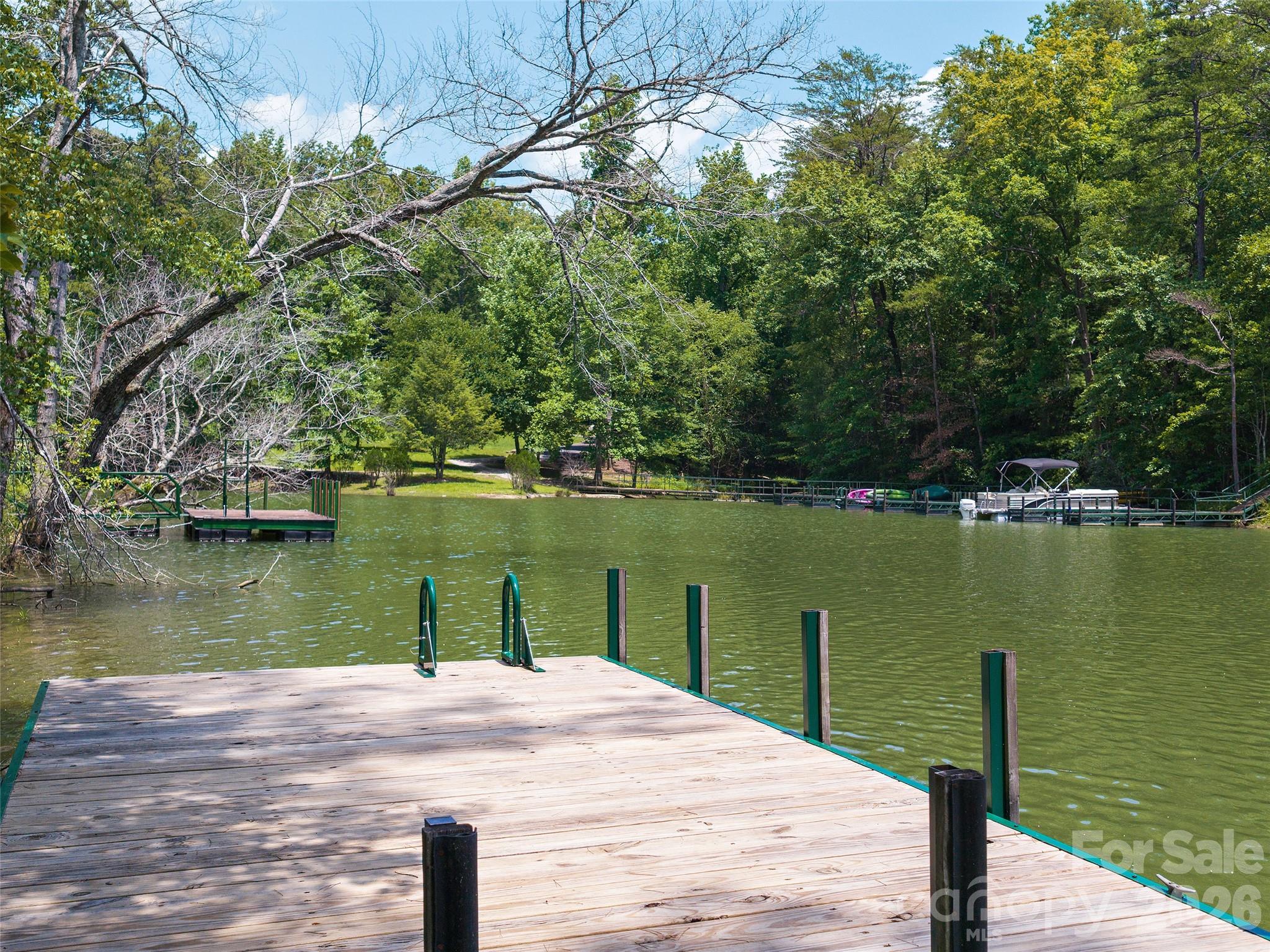 Lot 14 Parkway North Rd Mill Spring, Unit 14 Mill Spring, NC 28756 - Photo 2 of 14