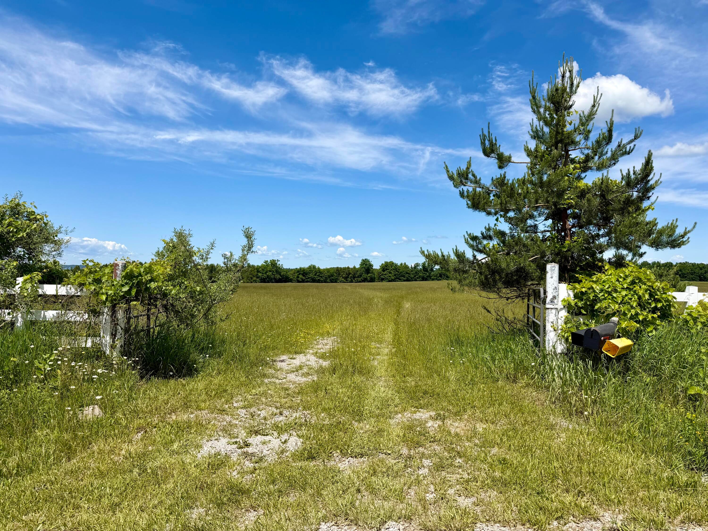 1321 Pioneer Road Cheboygan, MI 49721 - Photo 3 of 14 Gallery Image 3