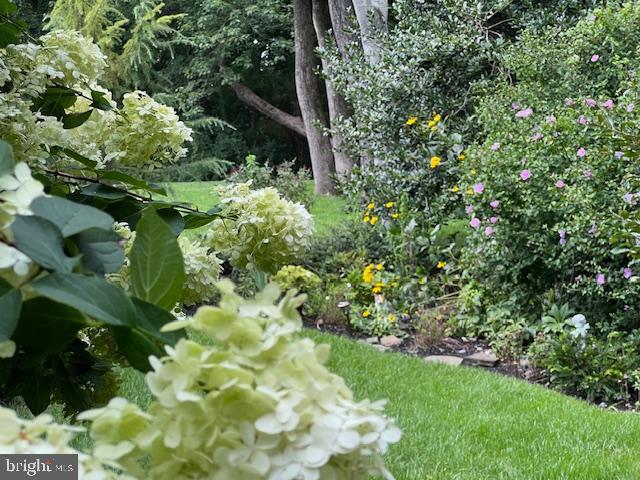 318 Carriage Run Road Annapolis, MD 21403 - Photo 99 of 109 Gallery Image 99
