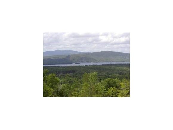 14 Ridge View Drive Bristol, NH 03222 - Photo 1 of 1 Gallery Image 1