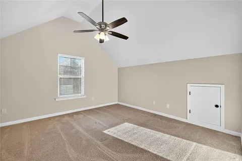 a view of backyard with tree