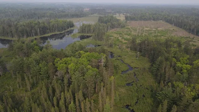 $139,900 | Parcel B Cherry Creek Road, Grayling, MI 49738