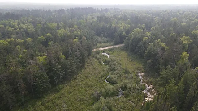 $139,900 | Parcel B Cherry Creek Road, Grayling, MI 49738