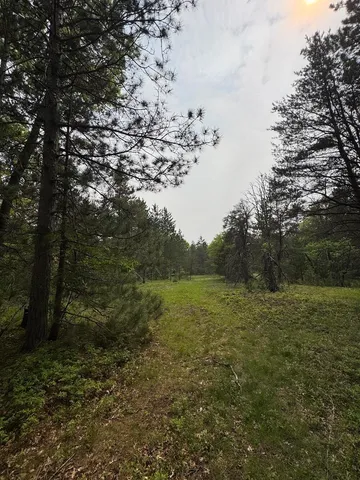 $139,900 | Parcel B Cherry Creek Road, Grayling, MI 49738