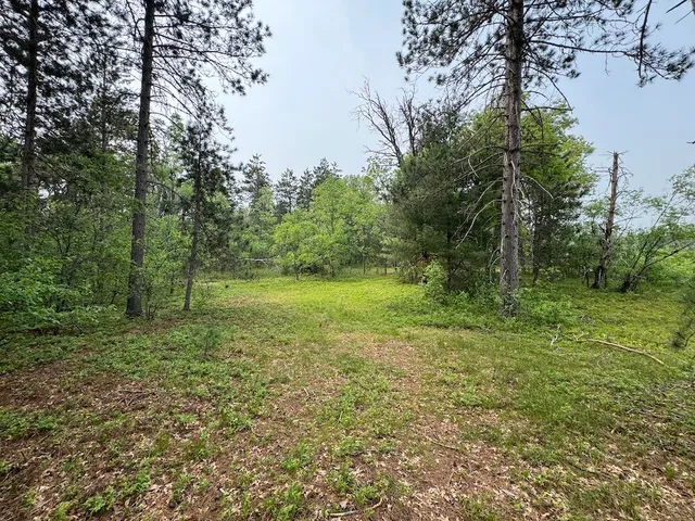 $139,900 | Parcel B Cherry Creek Road, Grayling, MI 49738