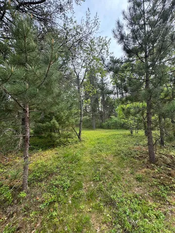 $139,900 | Parcel B Cherry Creek Road, Grayling, MI 49738