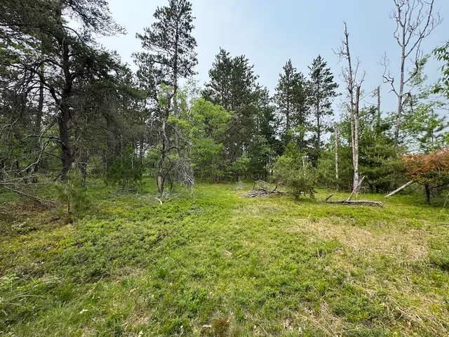 $139,900 | Parcel B Cherry Creek Road, Grayling, MI 49738
