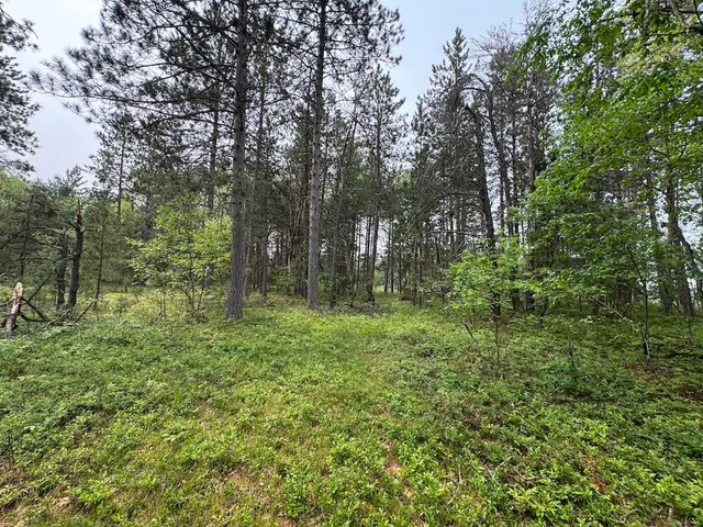 $139,900 | Parcel B Cherry Creek Road, Grayling, MI 49738