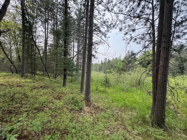 $139,900 | Parcel B Cherry Creek Road, Grayling, MI 49738