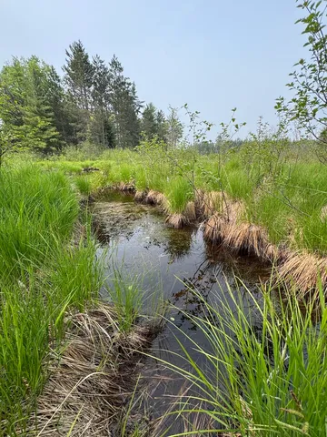 $139,900 | Parcel B Cherry Creek Road, Grayling, MI 49738