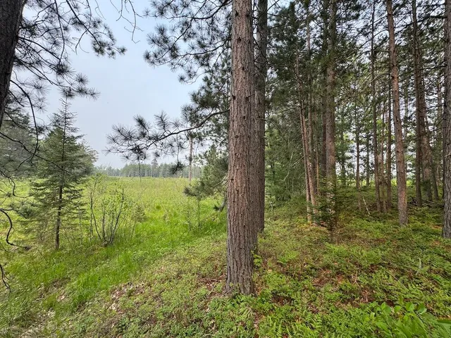 $139,900 | Parcel B Cherry Creek Road, Grayling, MI 49738