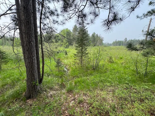 $139,900 | Parcel B Cherry Creek Road, Grayling, MI 49738