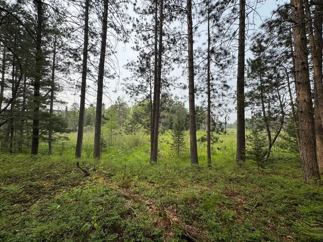 $139,900 | Parcel B Cherry Creek Road, Grayling, MI 49738