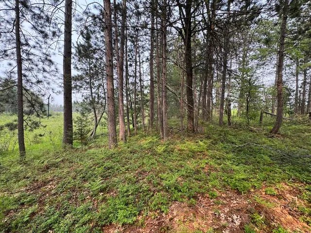 $139,900 | Parcel B Cherry Creek Road, Grayling, MI 49738