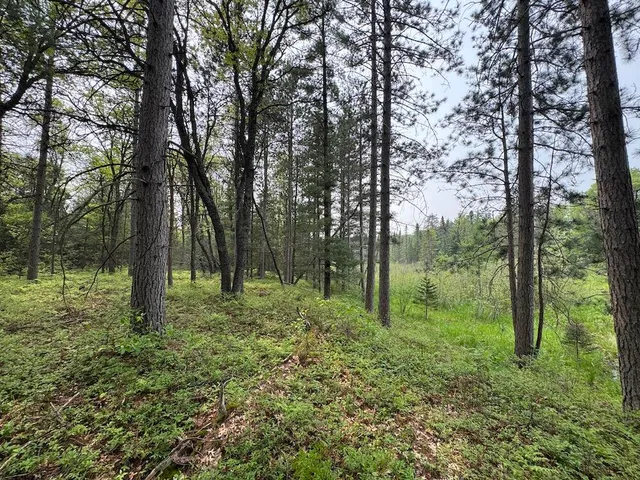 $139,900 | Parcel B Cherry Creek Road, Grayling, MI 49738