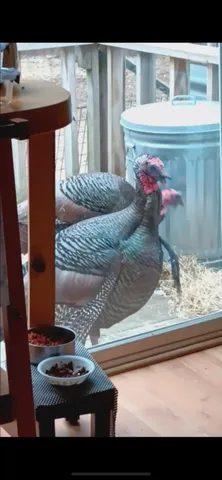 $139,900 | Parcel B Cherry Creek Road, Grayling, MI 49738