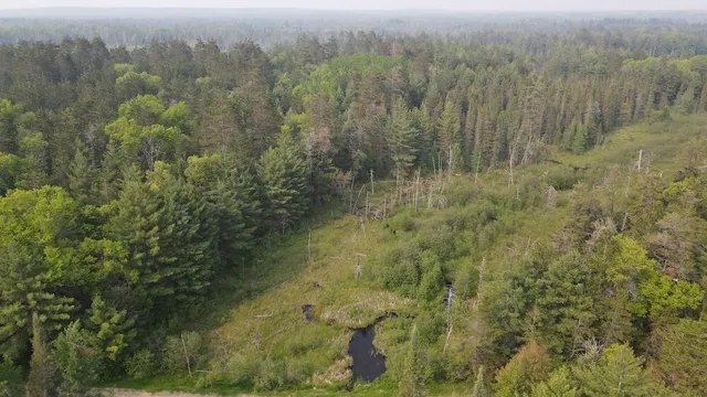 $139,900 | Parcel B Cherry Creek Road, Grayling, MI 49738