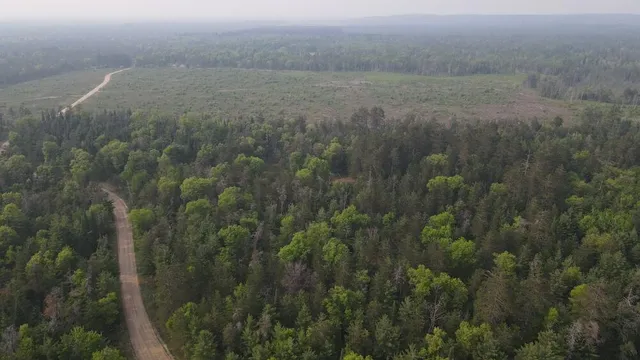 $139,900 | Parcel B Cherry Creek Road, Grayling, MI 49738