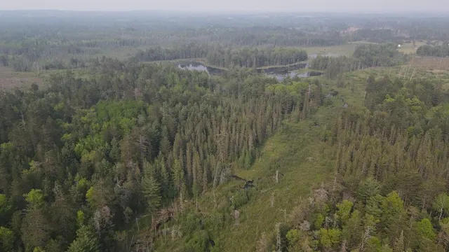 $139,900 | Parcel B Cherry Creek Road, Grayling, MI 49738