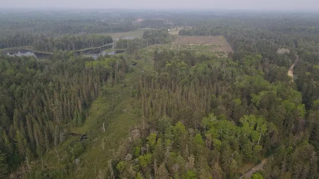 $139,900 | Parcel B Cherry Creek Road, Grayling, MI 49738