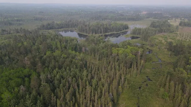 $139,900 | Parcel B Cherry Creek Road, Grayling, MI 49738