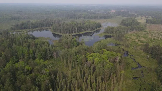 $139,900 | Parcel B Cherry Creek Road, Grayling, MI 49738