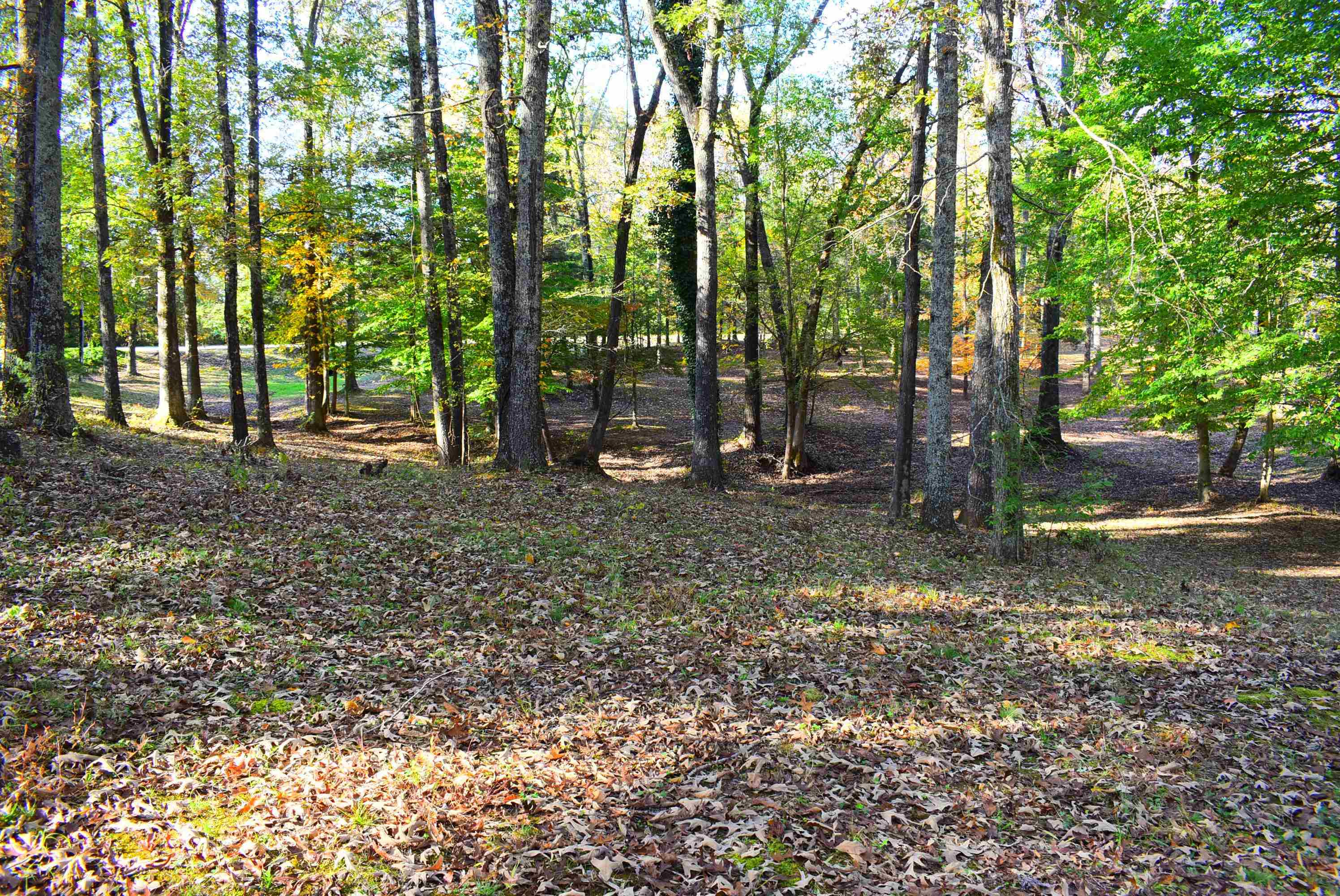 580 Liberty Claybrook Road Beech Bluff, TN 38313 - Photo 19 of 20 Photo 19