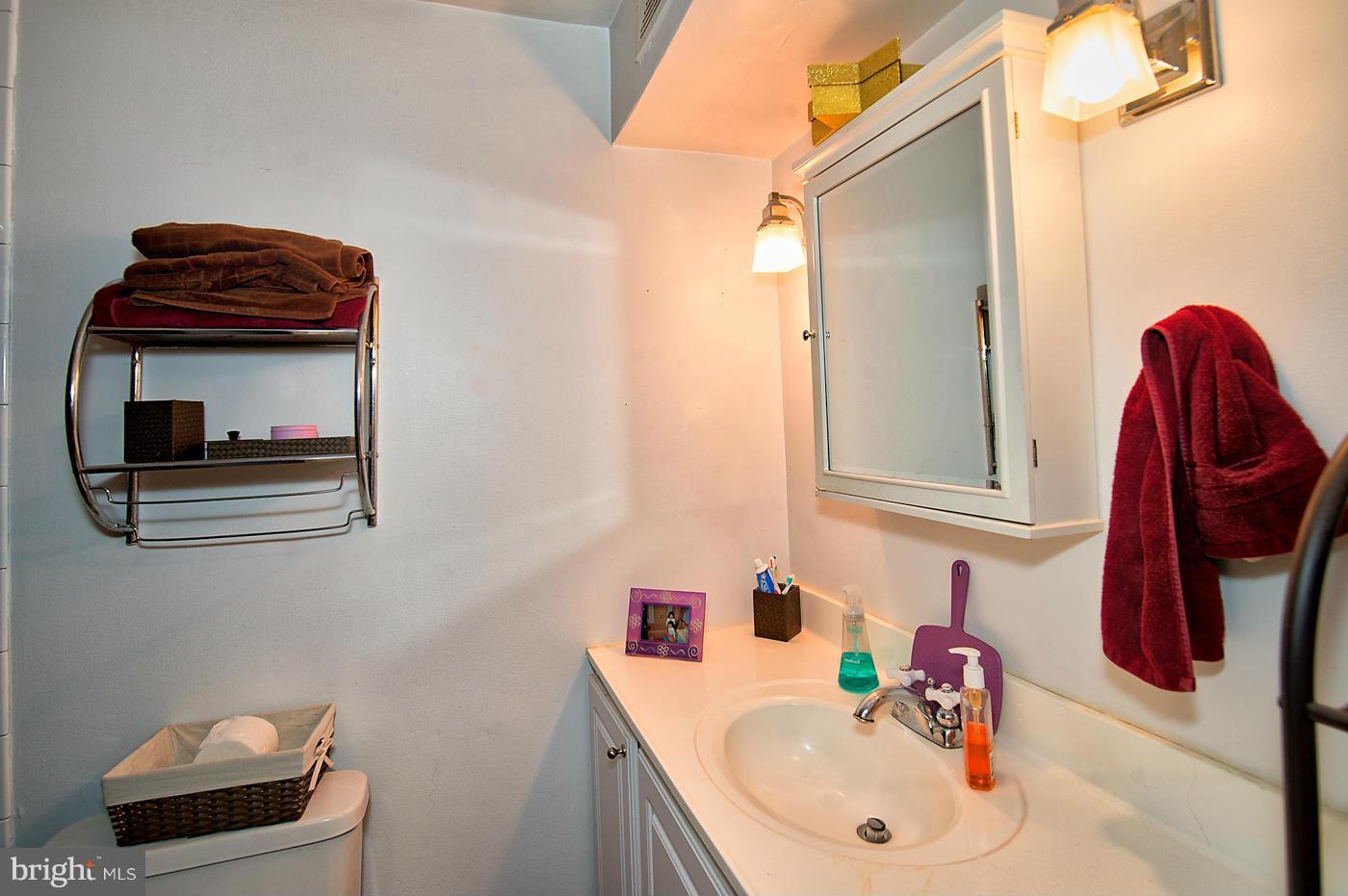 616 3rd Street Northeast Washington, DC 20002 - Photo 30 of 30 Lower Unit - Bath