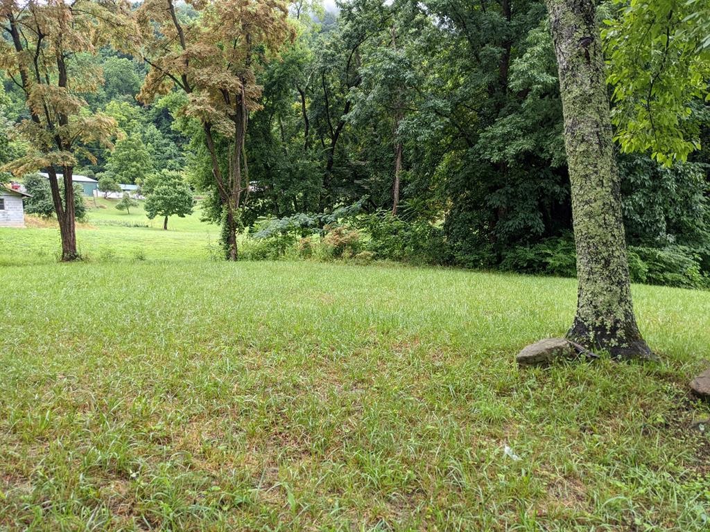 763 Blowing Cave Road Sevierville, TN 37876 - Photo 1 of 8