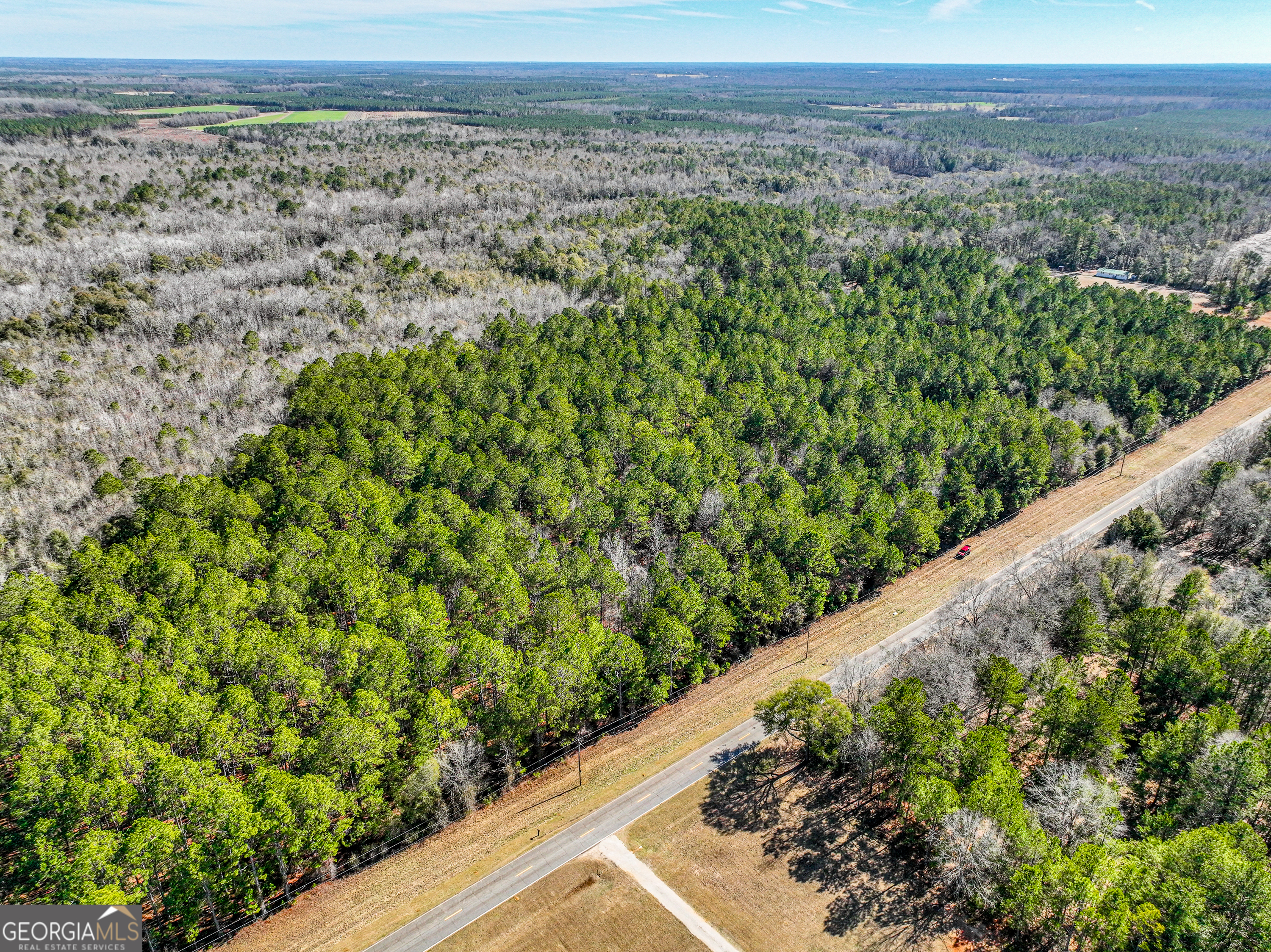 0 Buckeye Road Tennille, GA 31089 - Photo 2 of 13