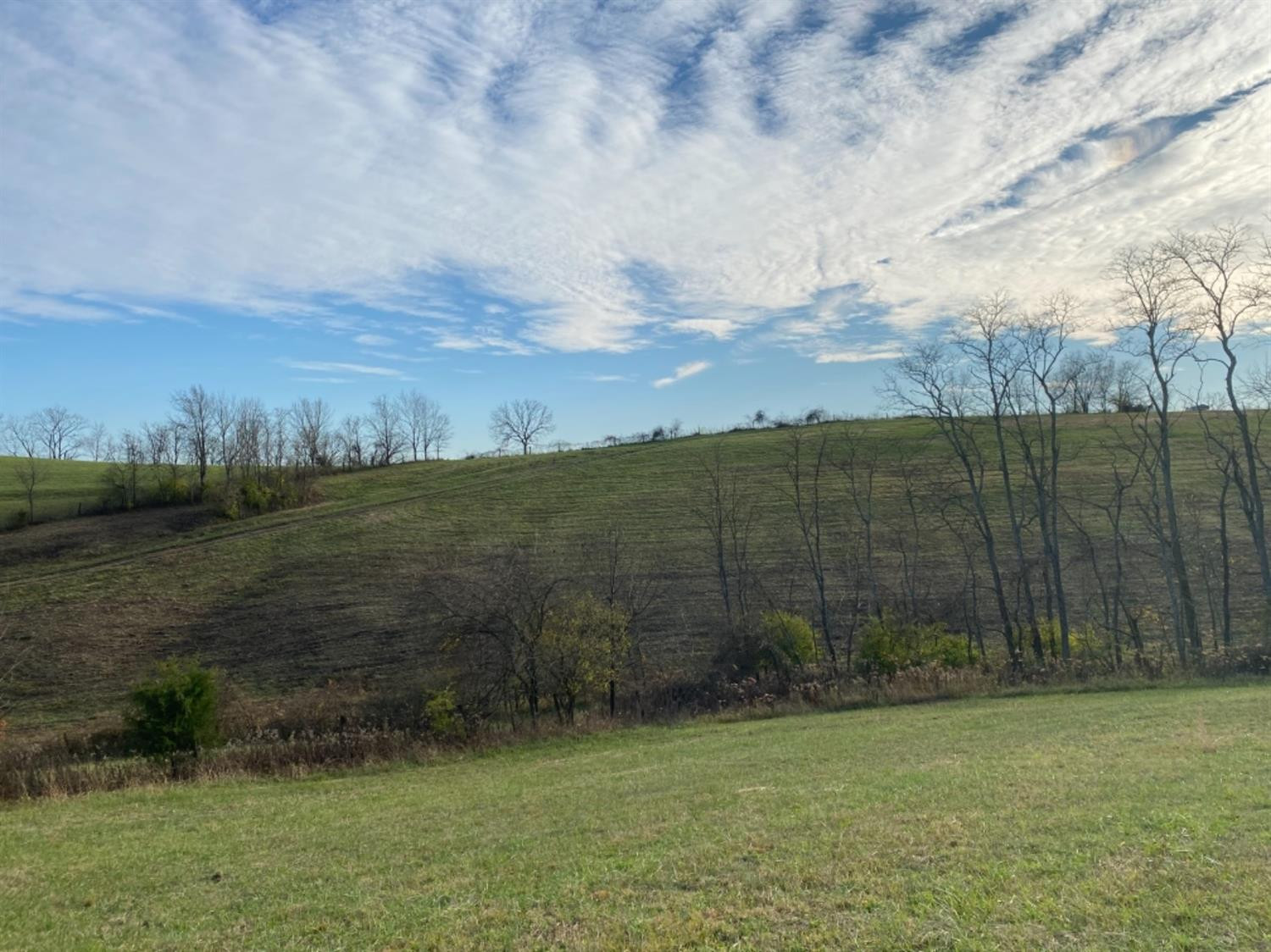 591 Rockridge Road Paris, KY 40361 - Photo 57 of 61 Photo 58