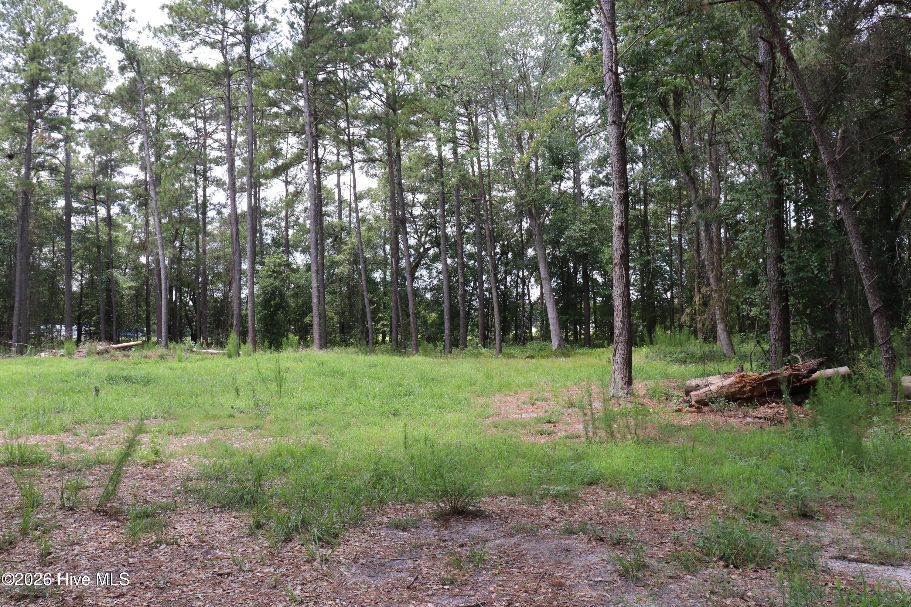Tbd Hayne Stretch Road Roseboro, NC 28382 - Photo 8 of 31