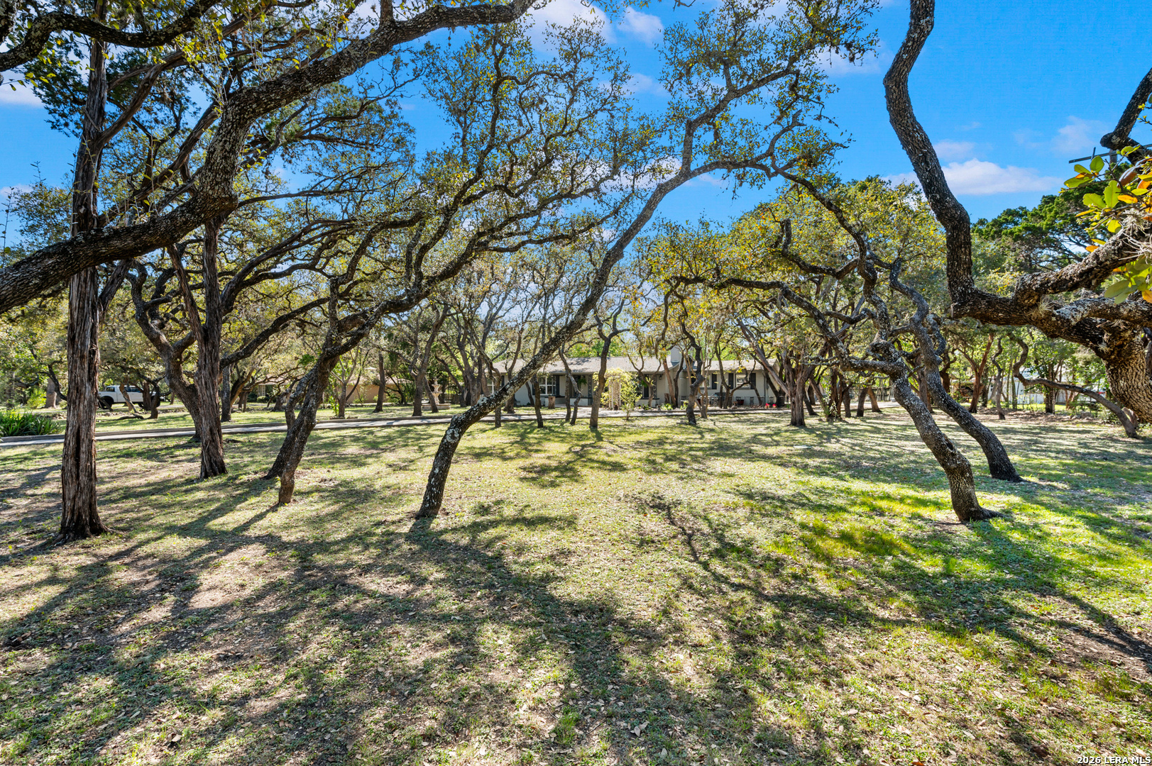 114 Wagon Trail Road Shavano Park, TX 78231 - Photo 2 of 36 a view of yard