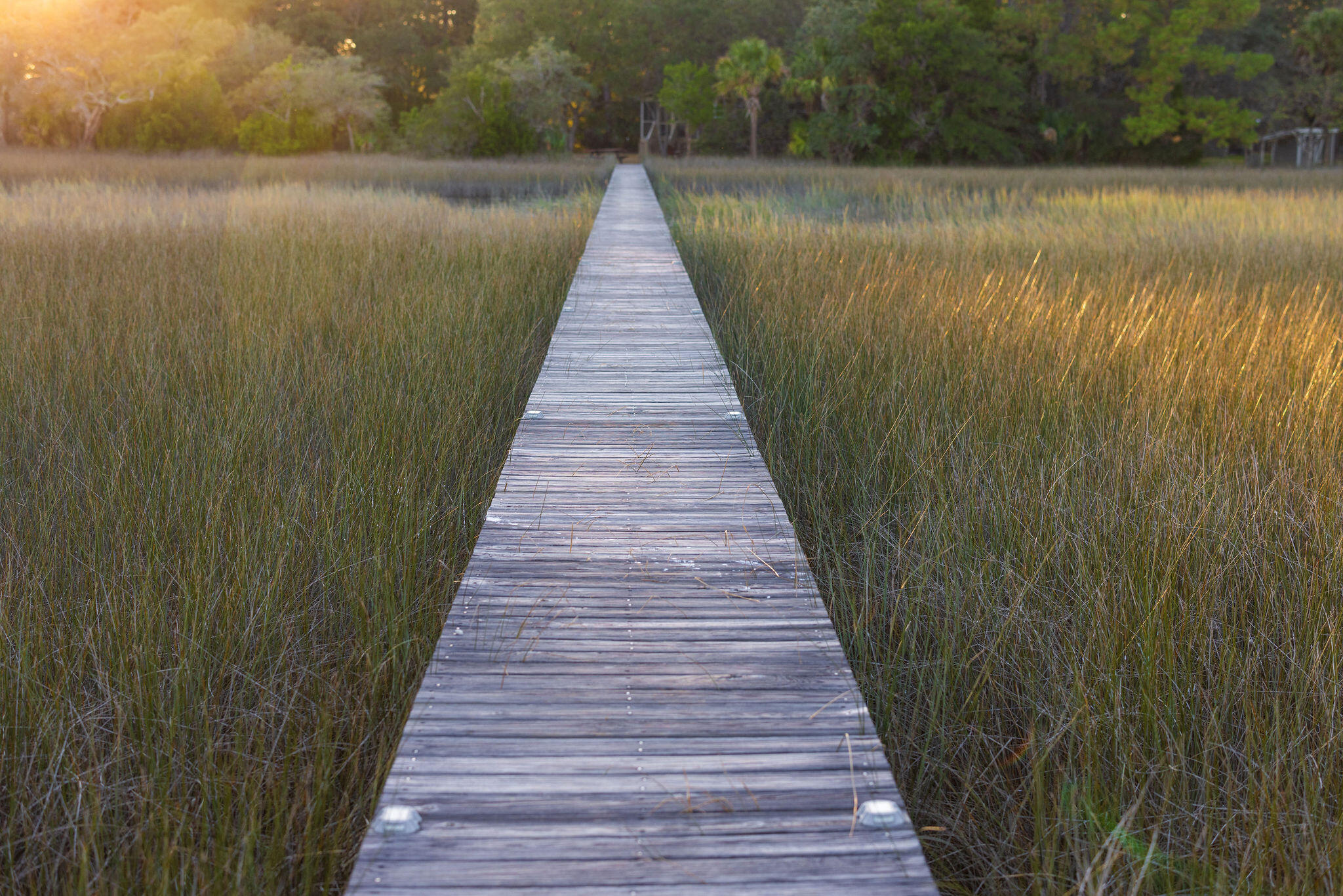 1406 Marshwind Island Road Awendaw, SC 29429 - Photo 34 of 38 1406 Marshwind Island Road