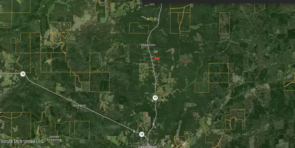 $17,500 | 0 Mississippi 17, Lexington, MS 39095