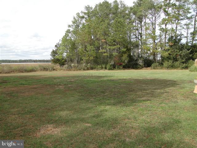 12332 Salisbury Road Ocean City, MD 21842 - Photo 22 of 23 Gallery Image 22