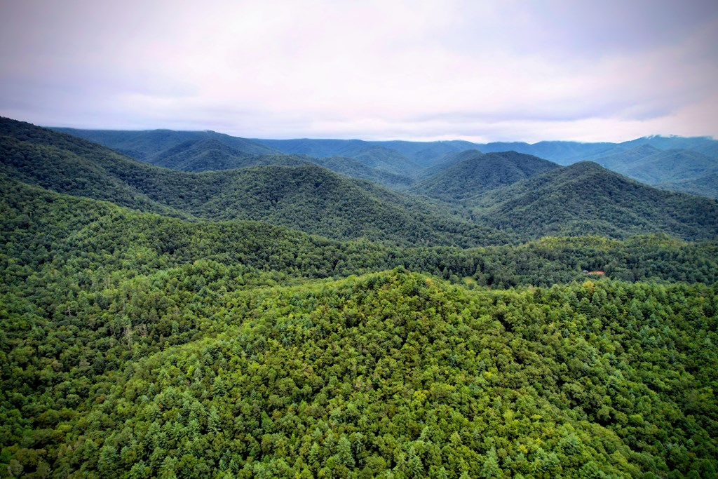 0 Flea Mountain Road Murphy, NC 28906 - Photo 51 of 54