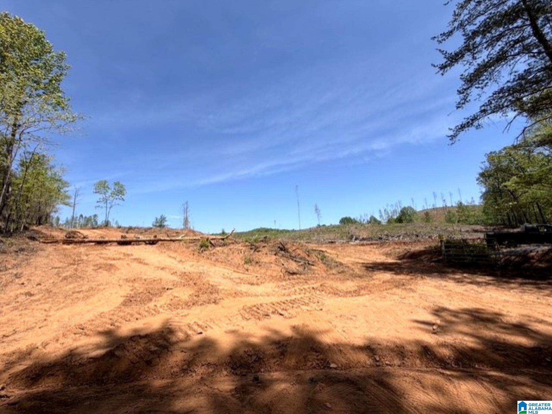 Mines Road, Unit 218 Talladega, AL 35160 - Photo 7 of 21 Gallery Image 7