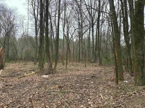 a view of outdoor space with lots of trees