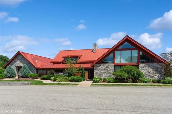 a view of a park with plants and palm trees