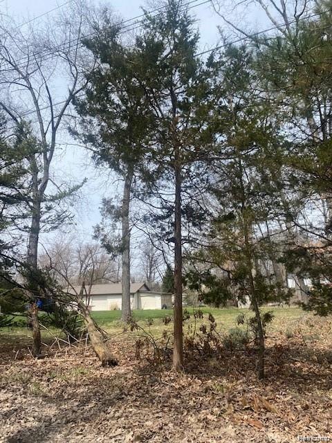 0 Edgewater Drive Brighton, MI 48116 - Photo 11 of 14
