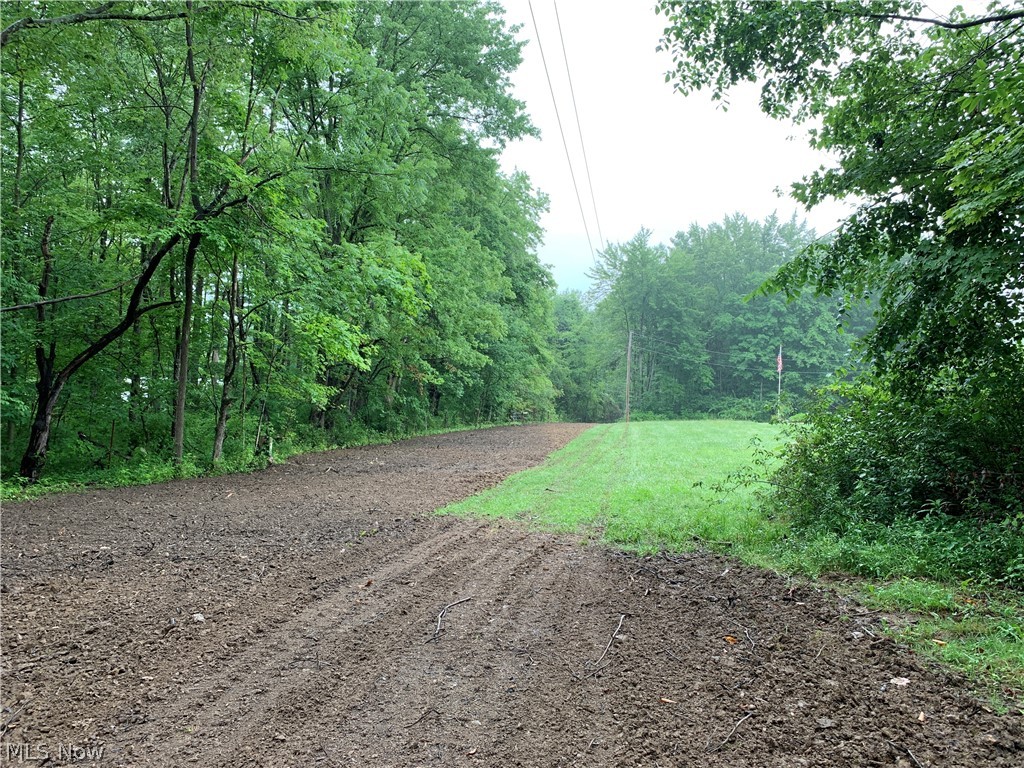 Bowers Road Mansfield, OH 44903 - Photo 4 of 35 Gallery Image 4