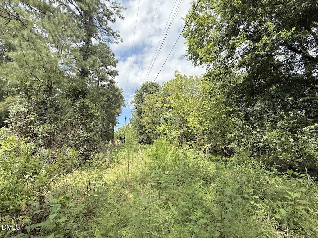 0 Laurel Rdg Road Durham, NC 27705 - Photo 25 of 41 25