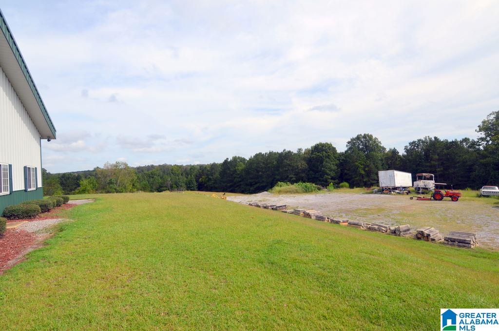 1155 Walkers Crossing Road Pell City, AL 35128 - Photo 7 of 37